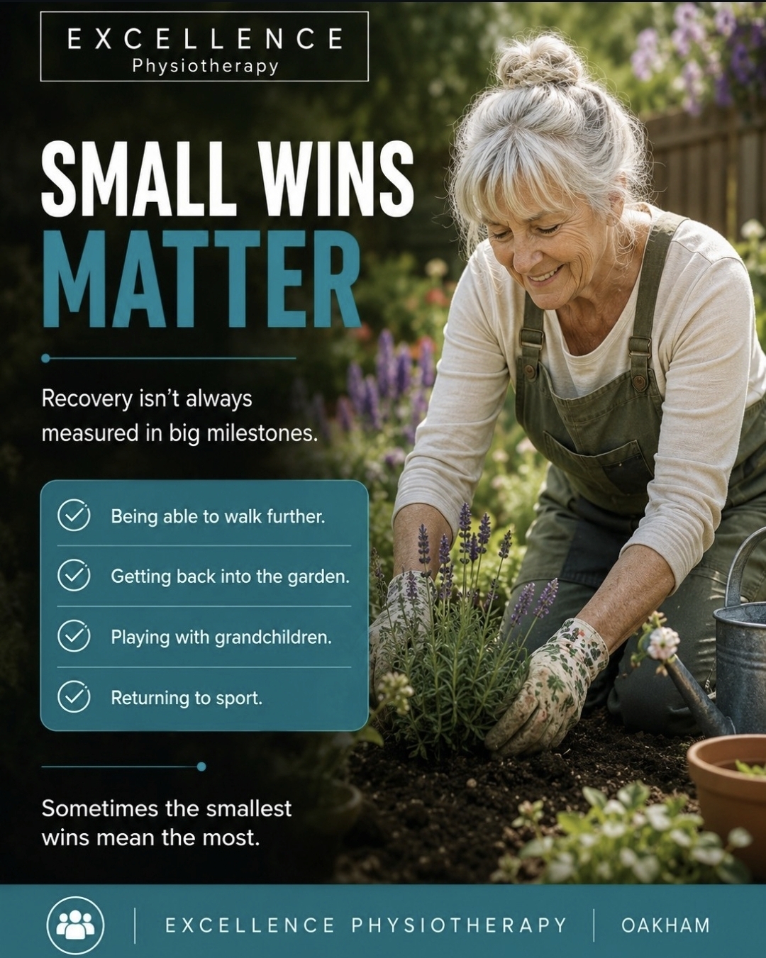 Excellence Physiotherapy Small Wins Matter social post